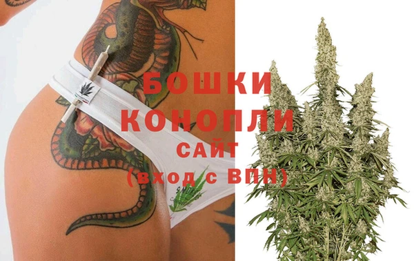 бошки Алексин